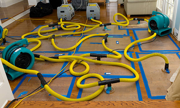 Professional Flood Damage Restoration technician working in Orlando, FL